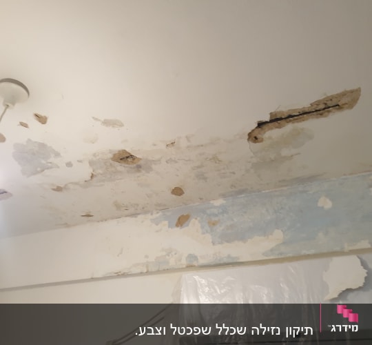 תקרת בטון עם טיח מתקלף ונזקי רטיבות לפני תיקון וצביעה